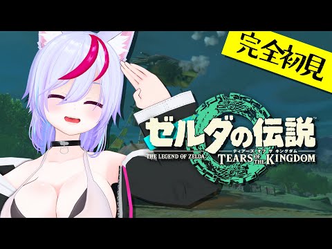 今更やる初見ティアキン #09【ゼルダの伝説 ティアーズ オブ ザ キングダム】