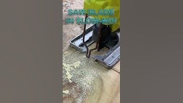 Slow mo jig saw! #carpentry #tools #woodworking #slowmo