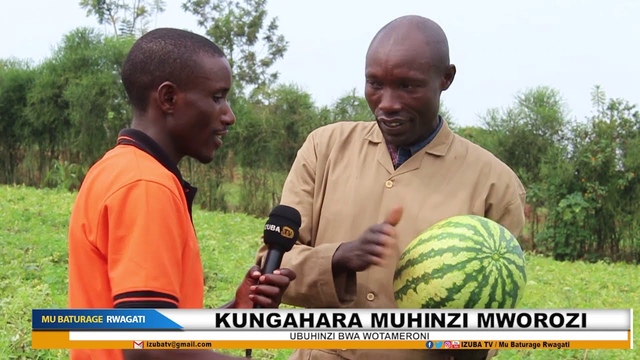 UBUHINZI BWA WATERMELON