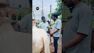 শাবনার দাম জানুন।