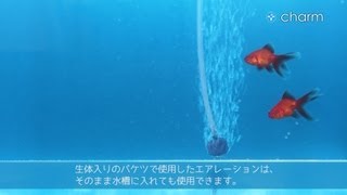 【チャーム】簡単な水合わせ方法を解説