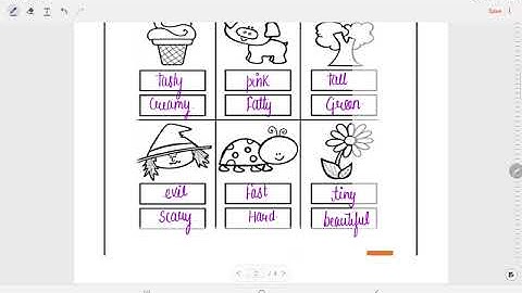 SMCD EDMC Class 4 English Worksheet Solution Week 11(13/8/21) Topic: Lesson 11 Hiawatha