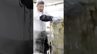 شيف ابو عمر - اطيب سجقات ممبار و احلى مسى للغوالي