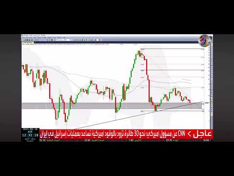 التامين العربيه 18 6 25 الهربيه التأمين