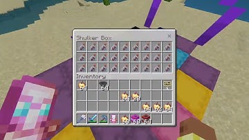 2b2tpe cord drop/coord drop.