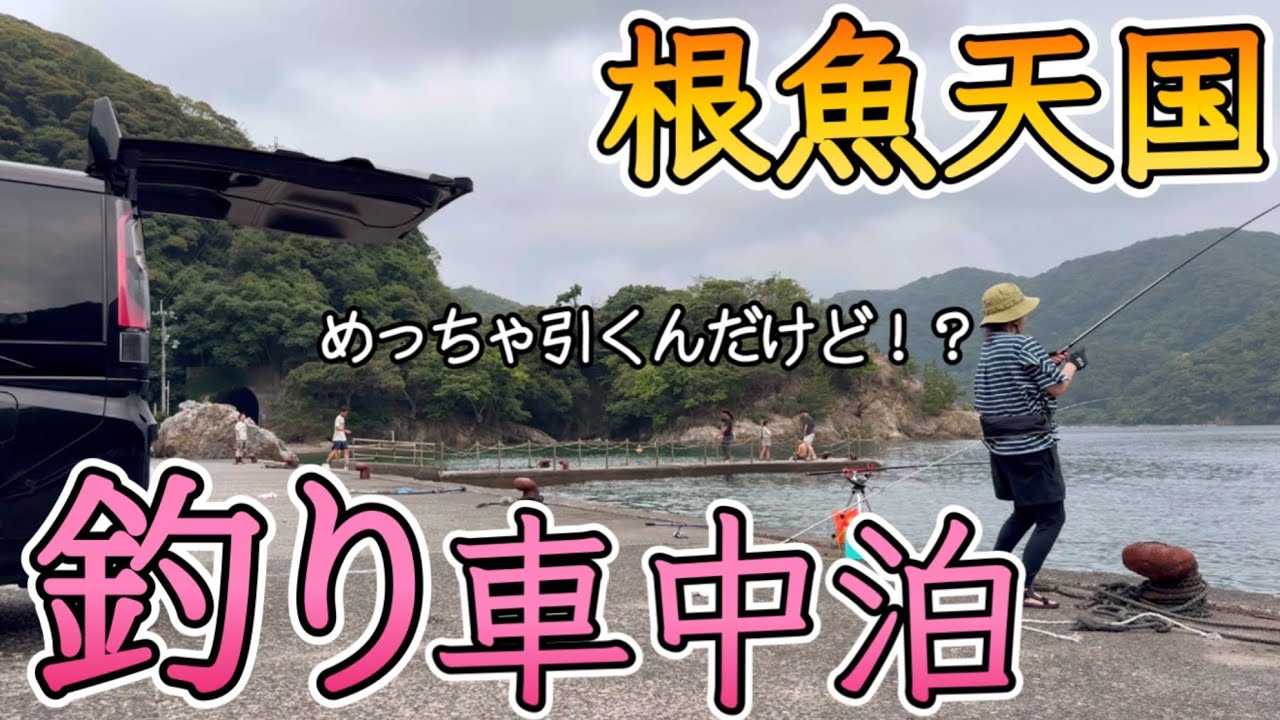 【釣り車中泊】根魚天国！投げ&サビキ釣りで爆釣福井旅