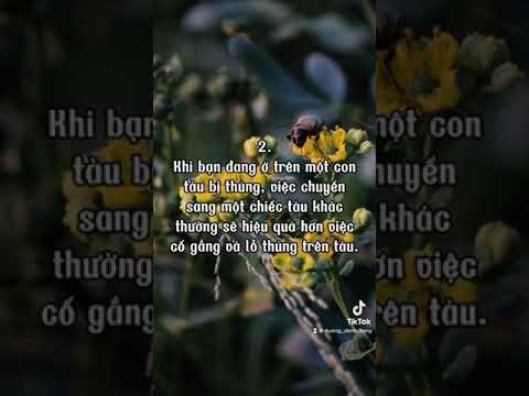 #60 Những lời