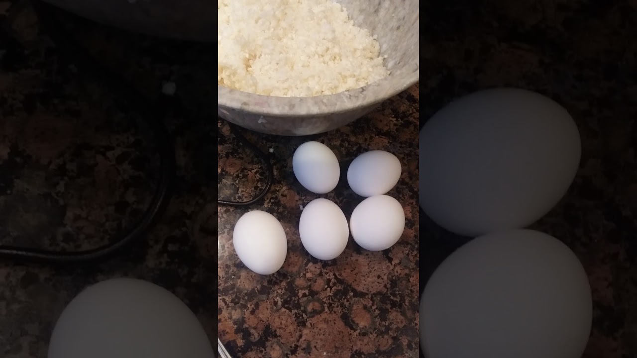 Cauliflower tuna patties part 1 YouTube