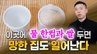 지금 너무 힘들다면, 물과 쌀 한 컵씩 꼭 두세요 / 집안에 물과 쌀 두는 비법 모음✨
