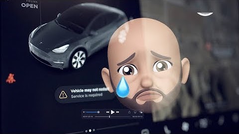 Brand New TESLA Y BRICK