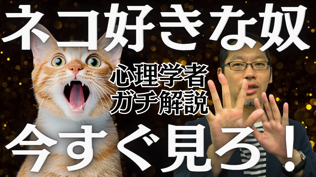 【ガチ】心理学者が本気で猫カフェの研究をしたら・・・