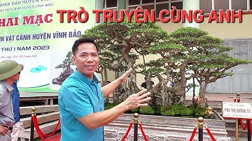 PHỎNG VẤN anh THÙY & được anh CS về động lực khi tham dự 8 TP TL VĨNH BẢO - HP 2023.