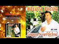 NELUTA BUCUR - Leagana te varf de brad