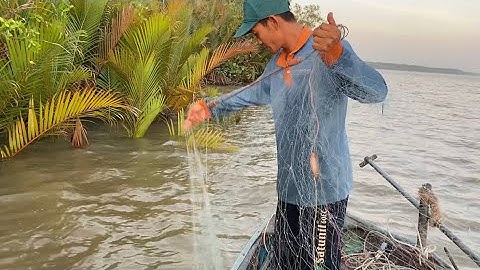 Khai Trương Lưới Mới Kiếm Mớ Cá Về Nấu Canh Chua | Cù Lao Dung Vlogs #296