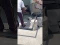#bollywood #song #viral #prem fiber sheds fabrication ❤️❤️❤️❤️………. #viralupdate #trendingnow