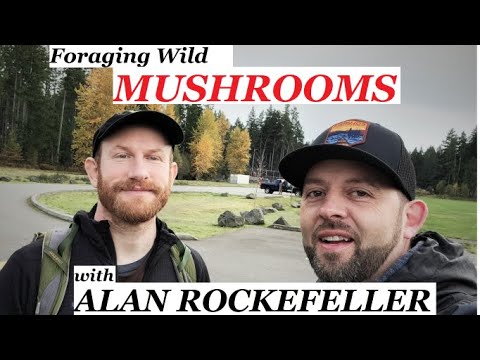 Foraging Wild Mushrooms with Alan Rockefeller