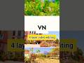 how to edit four layered video in vn video editor 🔥#vnvideoeditor #videoediting #viral #shorts