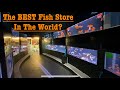 Pier aquatics in wigan uk fish store tour ep7