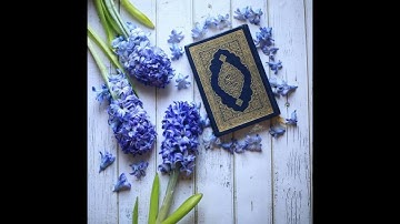 قرآن كريم بصوت القارئ سعد الغامدي أجمل حالات واتس اب دينيه 🖤  خاشعه