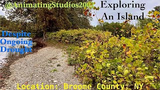Exploring An Island During Low Water Levels