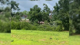 Geneva County storm debris clean-up costs