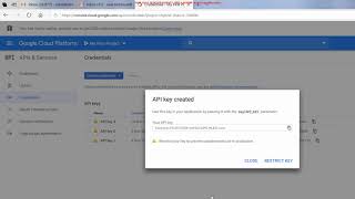 How to generate Googles API Key using Boxxer License Manager