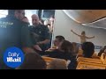 Passengers cheer as drunk woman is dragged off Ryanair flight