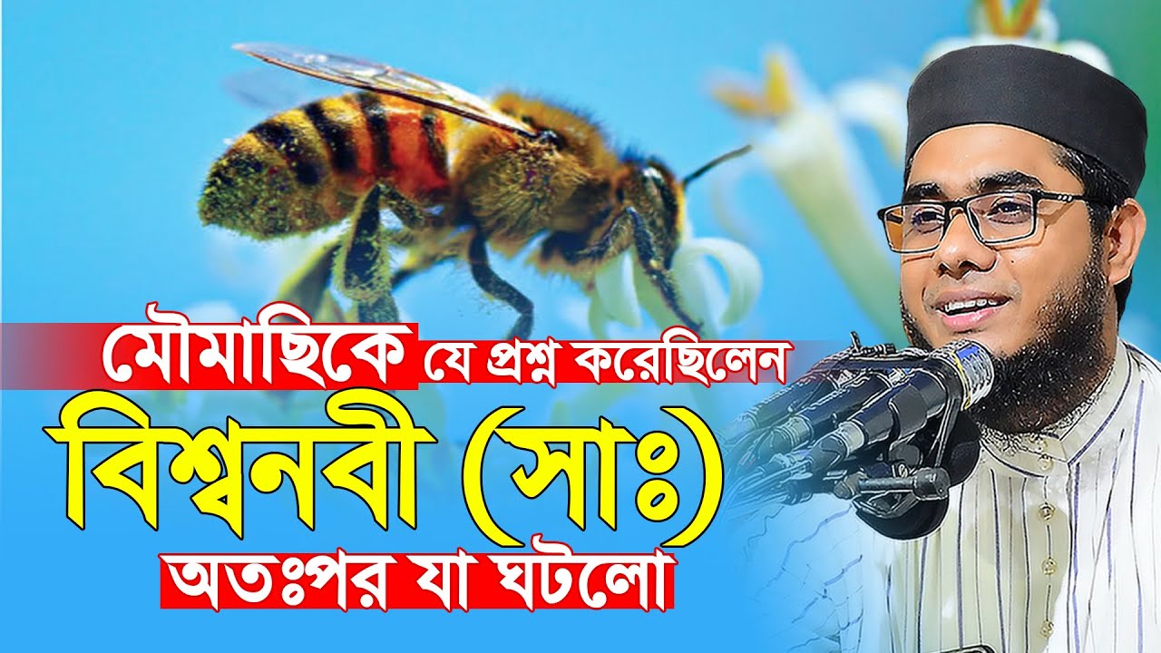 মৌমাছির কাছে বিশ্বনবী (সাঃ) এর প্রশ্ন, অতঃপর যা ঘটলো। mufti shahidur rahman mahmudabadi new waz 2023