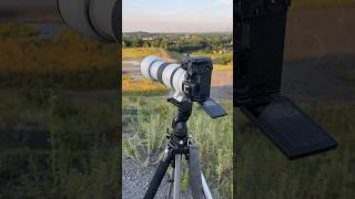 Canon R7 Rf 100-500Mm F4.5-7.1 L Is Usm Photography