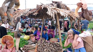 Chợ Phiên Phố Đoàn BÁ THƯỚC THANH HOÁ Mộc Mạc Hoang Sơ PHÁT HIỆN RA THẦN DƯỢC QUÝ