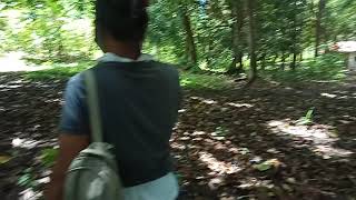 VID20200820104846 part2 08-20-2020