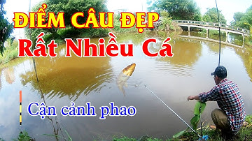 CÂU CÁ SÔNG | Phát Hiện Điểm Câu Đẹp Nhiều Cá | Cá Cắn Câu Phao Đài