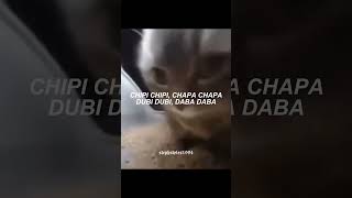 "chipi chipi, chapa chapa, dubi dubi, daba daba" | Christell - Dubidubidu (letra)