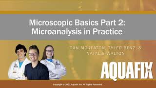 Microscopic Basics in Practice - Panel Discussion