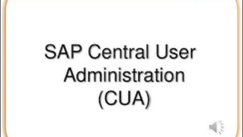 SAP Security #Central User Administrator#