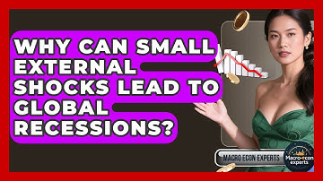 Why Can Small External Shocks Lead To Global Recessions? - Macroecon Experts