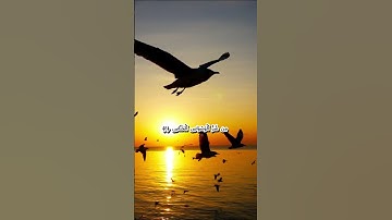 الشيخ احمد العجمي     سوره الناس