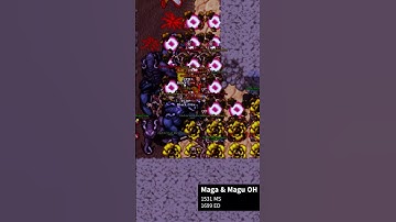 GAME OVER‼️🛑🎮🛑[TIBIA] 4K #tibia #tibiapk #tibiapvp #gaming #games