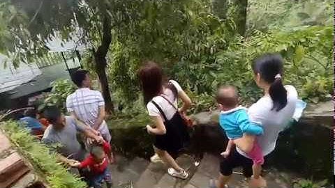 Du lịch Tam Đảo sương mờ ghé thăm Thác Bạc