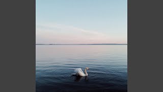 Asher Your Farts Are Ruining The Economy