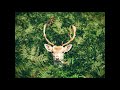 【Music】さわがしいまち - 騒音のない世界