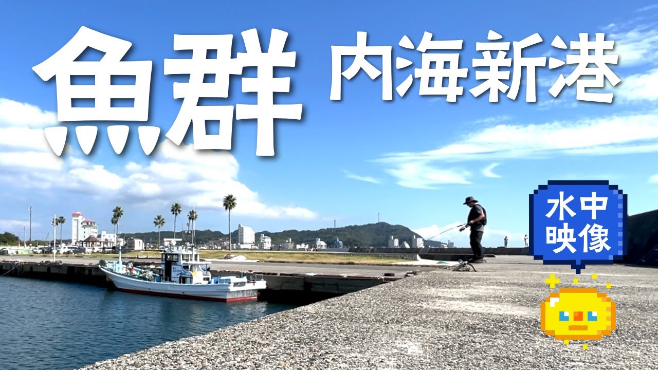 【堤防釣り】魚群に向かってサビキ釣り　知多半島　内海新港 / Embankment fishing