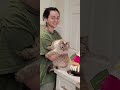 My cat cutie I love her so much