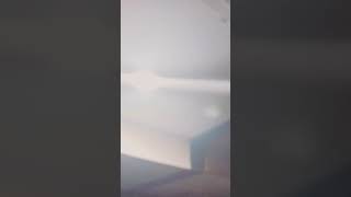 Download Lagu Kupu kupu Malam (Yang belum pernah liat kupu kupu malam) MP3