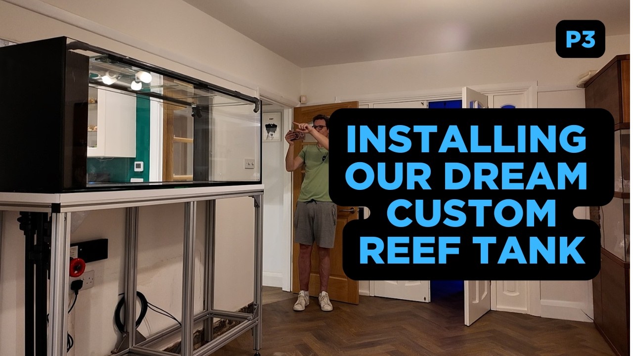 Смотрите, как мы шаг за шагом создаём аквариум нашей мечты.