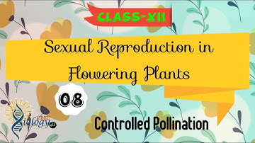 Controlled Pollination | Sexual Reproduction in Flowering Plants | Class-XII | CBSE Biology