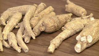 Maryland Farm & Harvest: Growing Ginseng