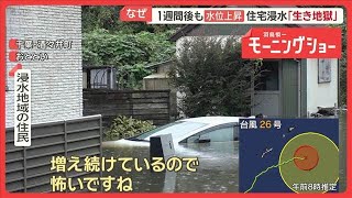 値下水晶19.9k高25、50,38cm台付(台の1箇所が動くが壊れてはいない) 台風25号で冠水被害…1週間後も水位上昇 被災者「生き地獄」 復旧