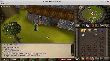 New rsps - New Runescape Private Server - Aratee - Pk Hillz - 317 old rs - VPS - Pvp/Eco server