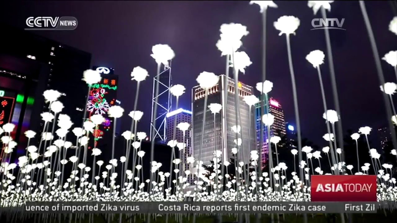 Hong Kong Lantern Festival Thousands of white LED roses light up